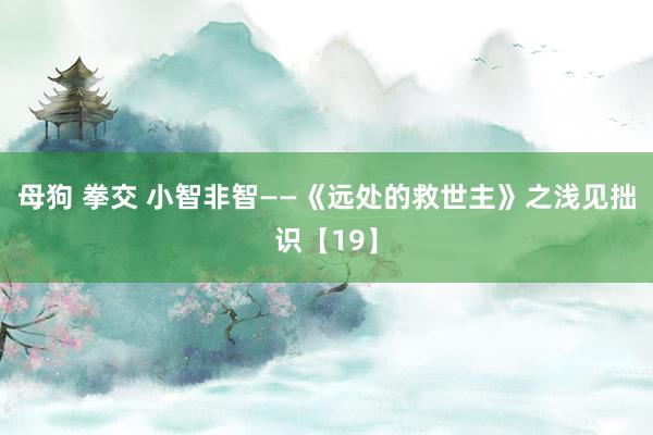 母狗 拳交 小智非智——《远处的救世主》之浅见拙识【19】