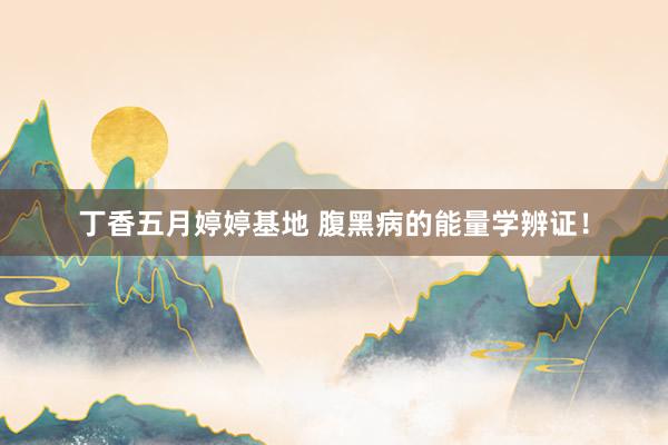 丁香五月婷婷基地 腹黑病的能量学辨证！