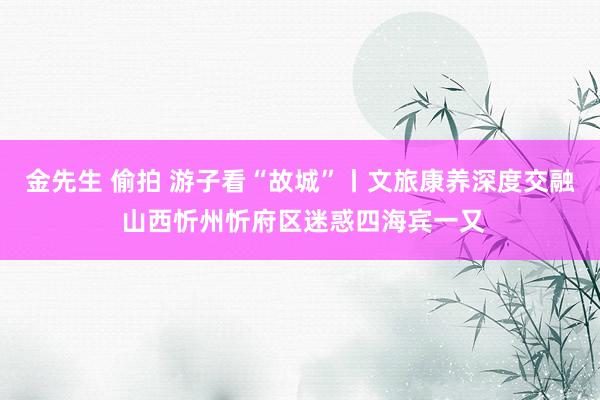 金先生 偷拍 游子看“故城”丨文旅康养深度交融 山西忻州忻府区迷惑四海宾一又