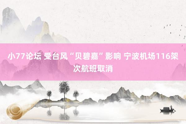 小77论坛 受台风“贝碧嘉”影响 宁波机场116架次航班取消