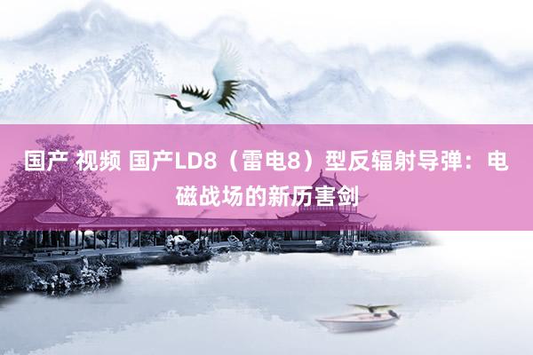 国产 视频 国产LD8（雷电8）型反辐射导弹：电磁战场的新历害剑