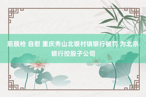 筋膜枪 自慰 重庆秀山北银村镇银行被罚 为北京银行控股子公司