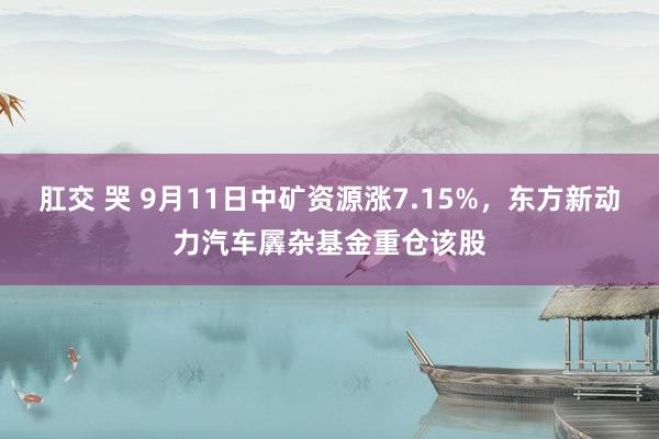 肛交 哭 9月11日中矿资源涨7.15%，东方新动力汽车羼杂基金重仓该股