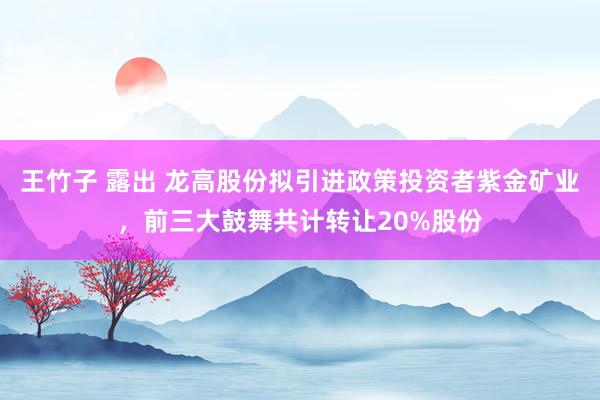 王竹子 露出 龙高股份拟引进政策投资者紫金矿业，前三大鼓舞共计转让20%股份