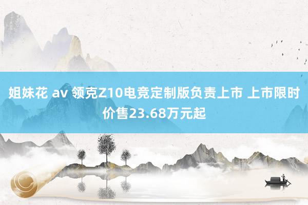 姐妹花 av 领克Z10电竞定制版负责上市 上市限时价售23.68万元起