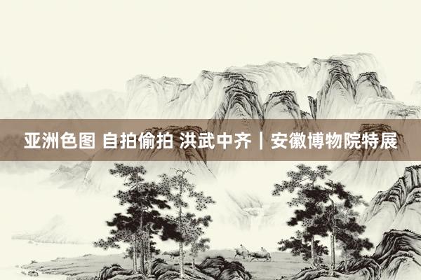 亚洲色图 自拍偷拍 洪武中齐｜安徽博物院特展