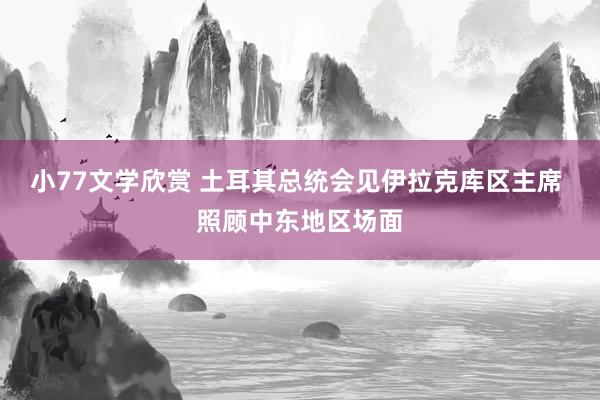 小77文学欣赏 土耳其总统会见伊拉克库区主席 照顾中东地区场面