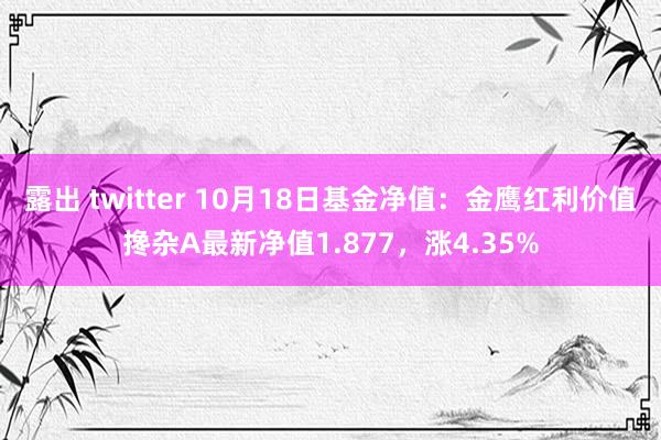 露出 twitter 10月18日基金净值：金鹰红利价值搀杂A最新净值1.877，涨4.35%