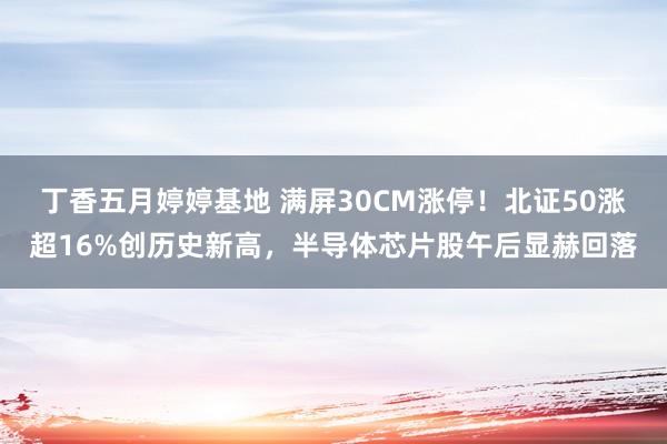 丁香五月婷婷基地 满屏30CM涨停！北证50涨超16%创历史新高，半导体芯片股午后显赫回落