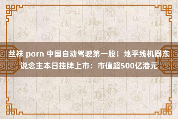 丝袜 porn 中国自动驾驶第一股！地平线机器东说念主本日挂牌上市：市值超500亿港元