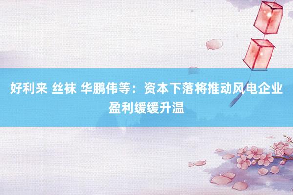 好利来 丝袜 华鹏伟等：资本下落将推动风电企业盈利缓缓升温