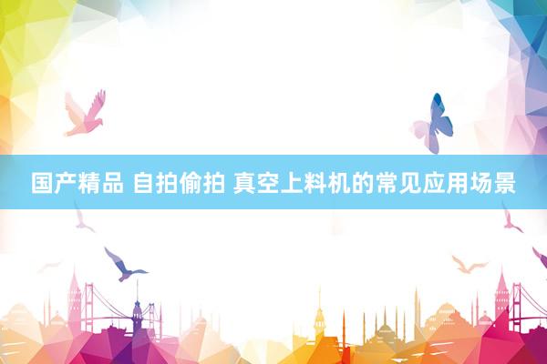 国产精品 自拍偷拍 真空上料机的常见应用场景