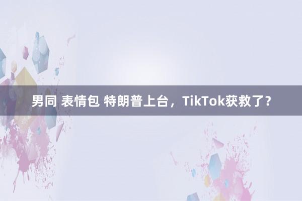 男同 表情包 特朗普上台，TikTok获救了？