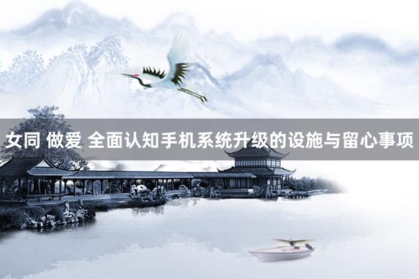 女同 做爱 全面认知手机系统升级的设施与留心事项