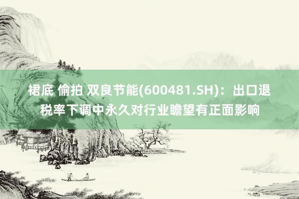 裙底 偷拍 双良节能(600481.SH)：出口退税率下调中永久对行业瞻望有正面影响
