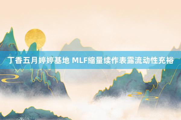丁香五月婷婷基地 MLF缩量续作表露流动性充裕