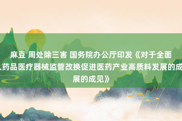 麻豆 周处除三害 国务院办公厅印发《对于全面潜入药品医疗器械监管改换促进医药产业高质料发展的成见》