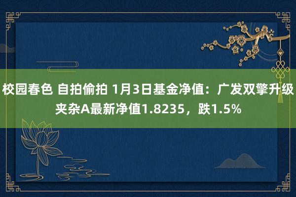校园春色 自拍偷拍 1月3日基金净值：广发双擎升级夹杂A最新净值1.8235，跌1.5%