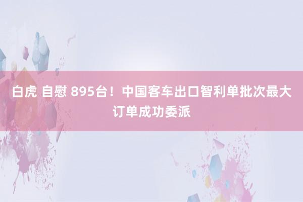 白虎 自慰 895台！中国客车出口智利单批次最大订单成功委派