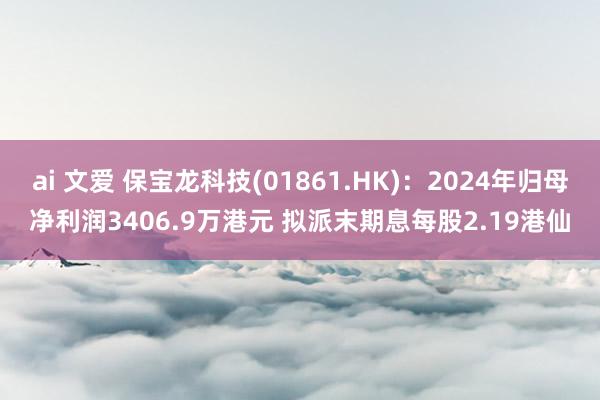 ai 文爱 保宝龙科技(01861.HK)：2024年归母净利润3406.9万港元 拟派末期息每股2.19港仙