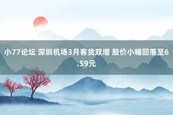 小77论坛 深圳机场3月客货双增 股价小幅回落至6.59元
