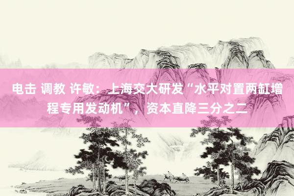 电击 调教 许敏：上海交大研发“水平对置两缸增程专用发动机”，资本直降三分之二